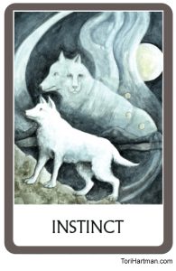 Instinct